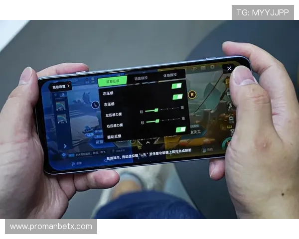 万博平台网页版入口：提升游戏体验的官方入口使用技巧