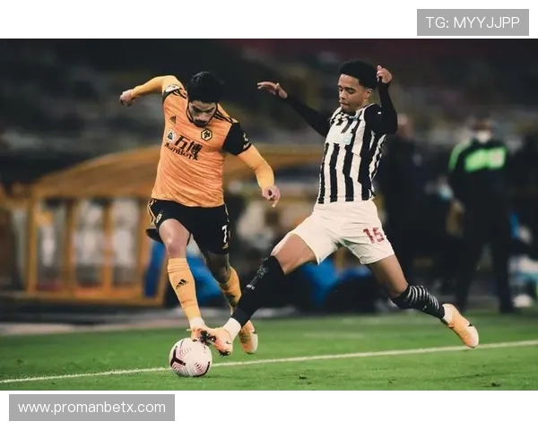 万博狼队在线:实时观看比赛的最佳平台推荐